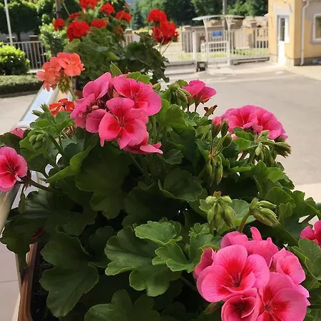 Ceu Konferencia Központ Budapest