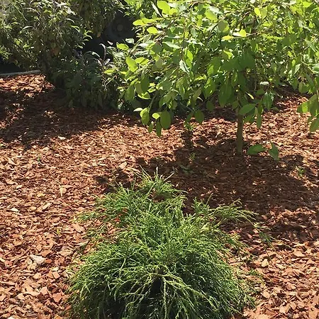 Ceu Konferencia Koezpont