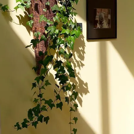 Ceu Konferencia Koezpont Budapest